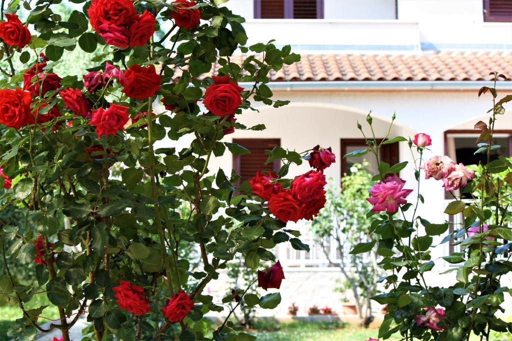 Tar-Vabriga Holiday Home Magnolia מראה חיצוני תמונה